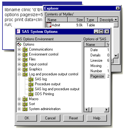 SAS program, SAS libraries, and SAS system options